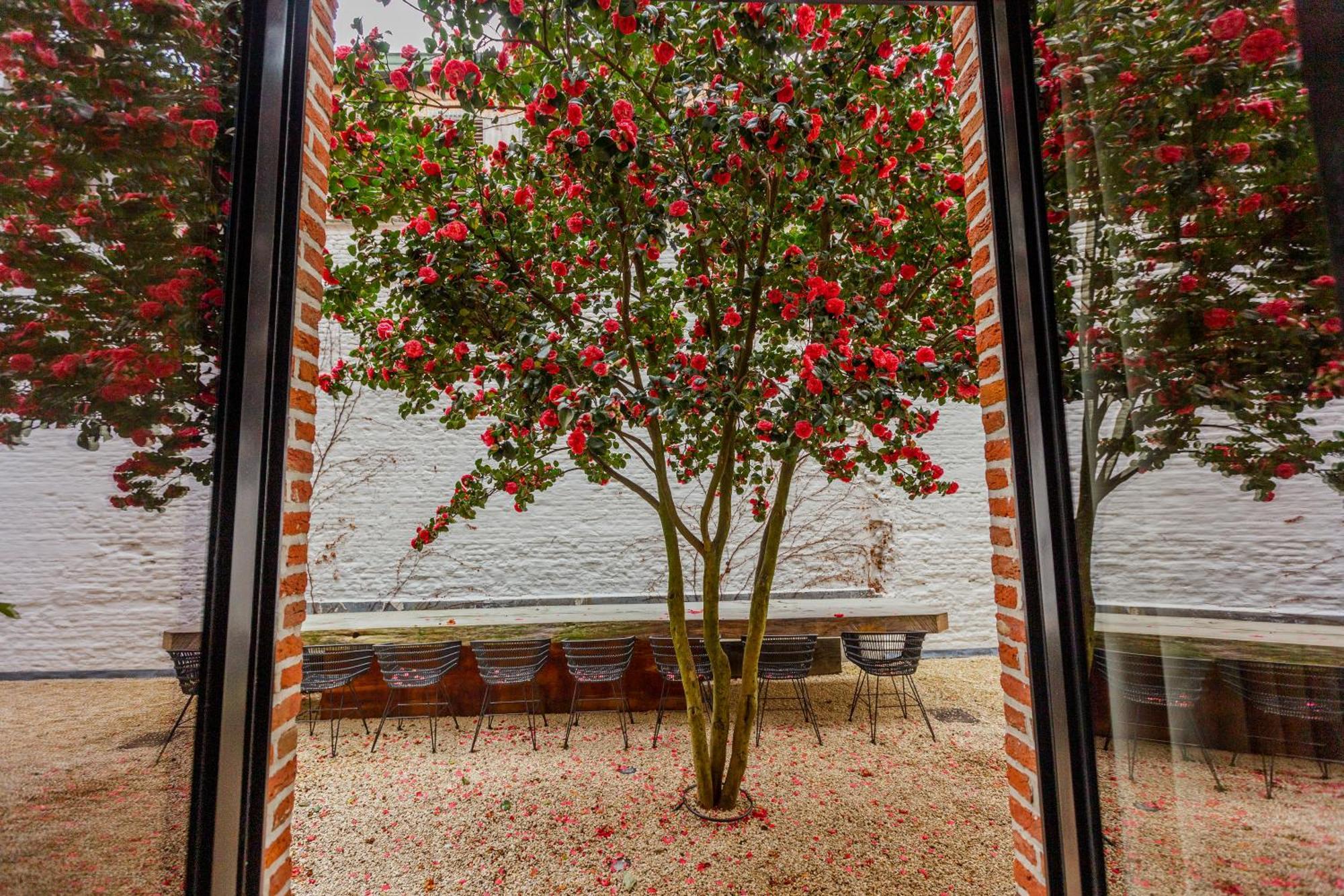 Btfl Living Antwerp Apartment Exterior photo